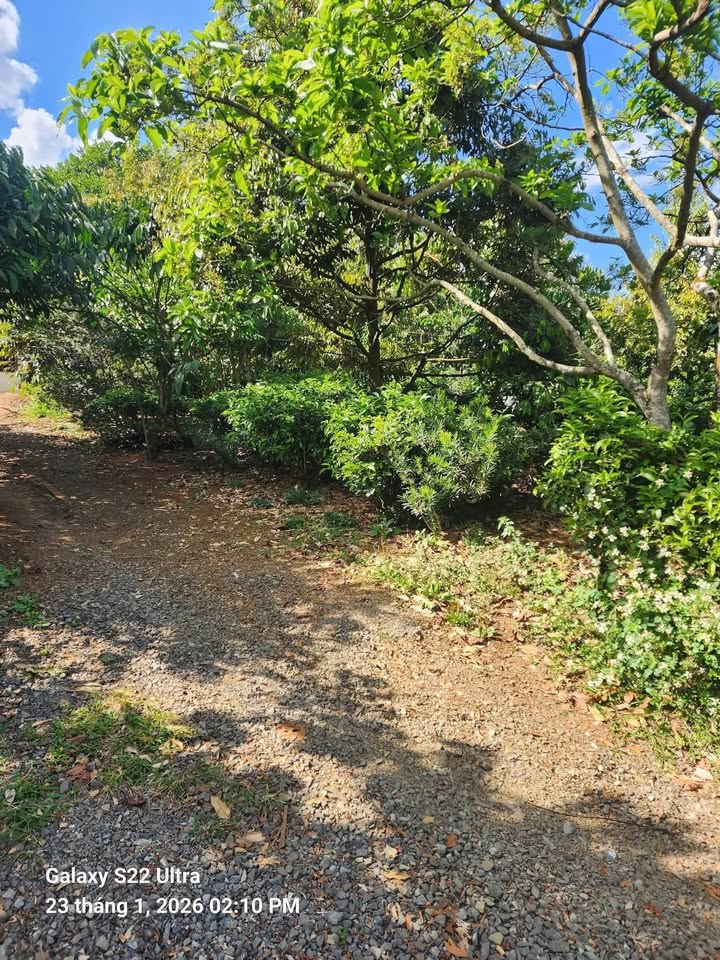 Đất nền Tứ Quý Lộc An 460m² giá 4.05 tỷ - Sổ đỏ chính chủ