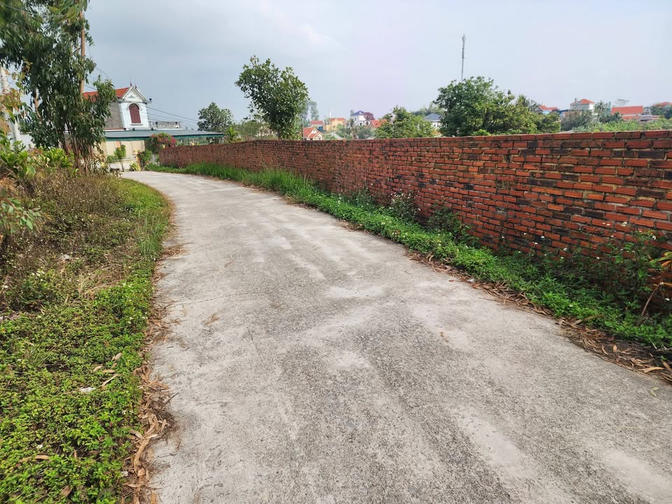 Đất nền chính chủ phường Hoành Bồ 100m² giá 7xx triệu - Thuận tiện ô tô vào tận nơi!