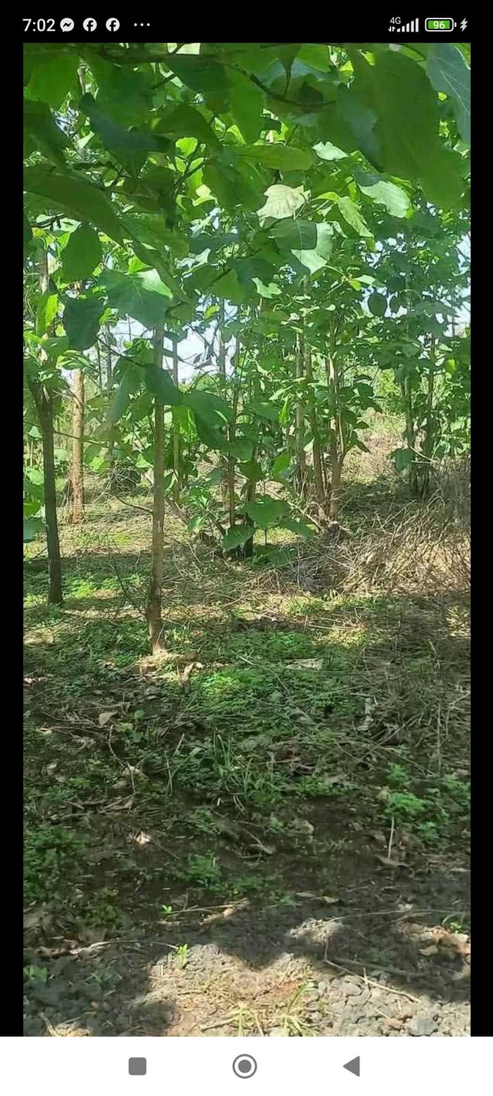 Đất nền 360m² tại Xã Phú Tân, Huyện Định Quán chỉ 370 triệu - Cơ hội đầu tư hấp dẫn!