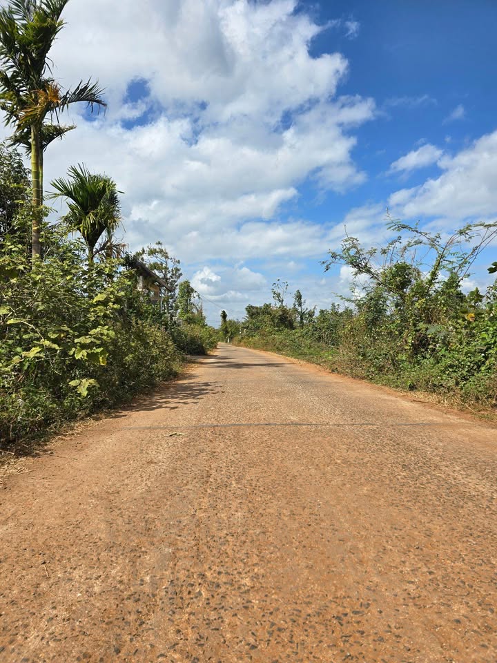 Đất nền phường Tân Lập, TP. Buôn Ma Thuột, 320m² chỉ 1.95 tỷ - Cơ hội đầu tư sinh lời!