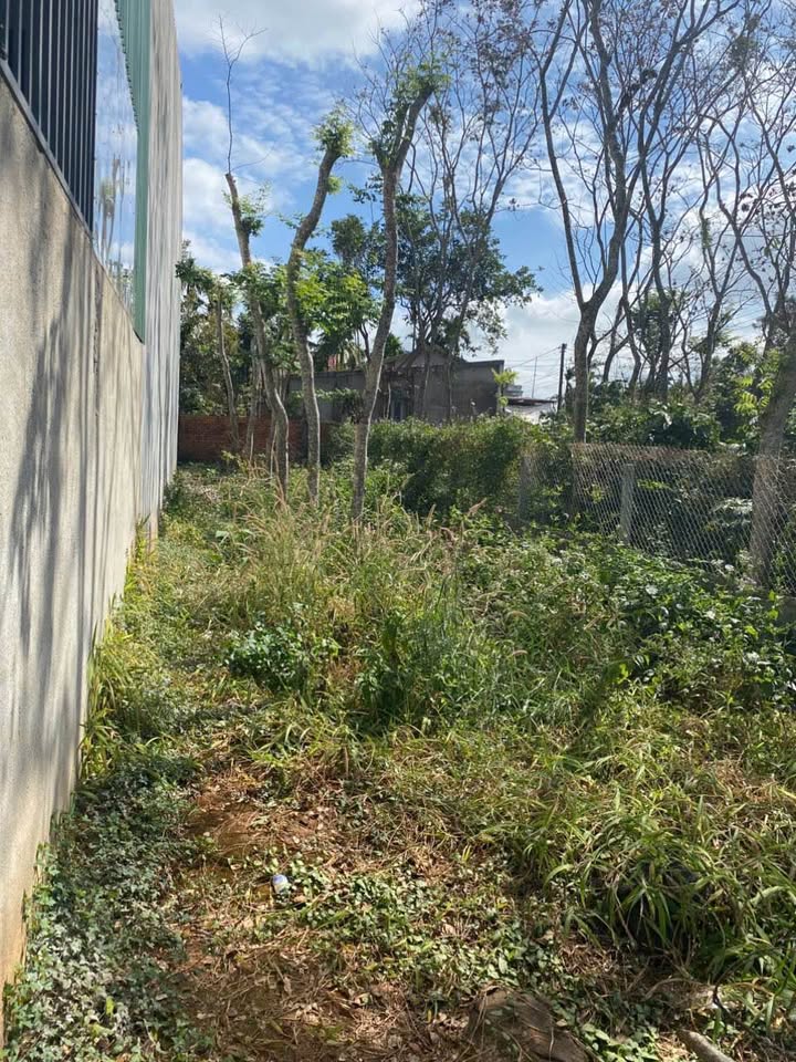 Đất thổ cư 145m² hẻm 50 Đam San, gần sân bay BMT - Giá chỉ 2.25 tỷ!