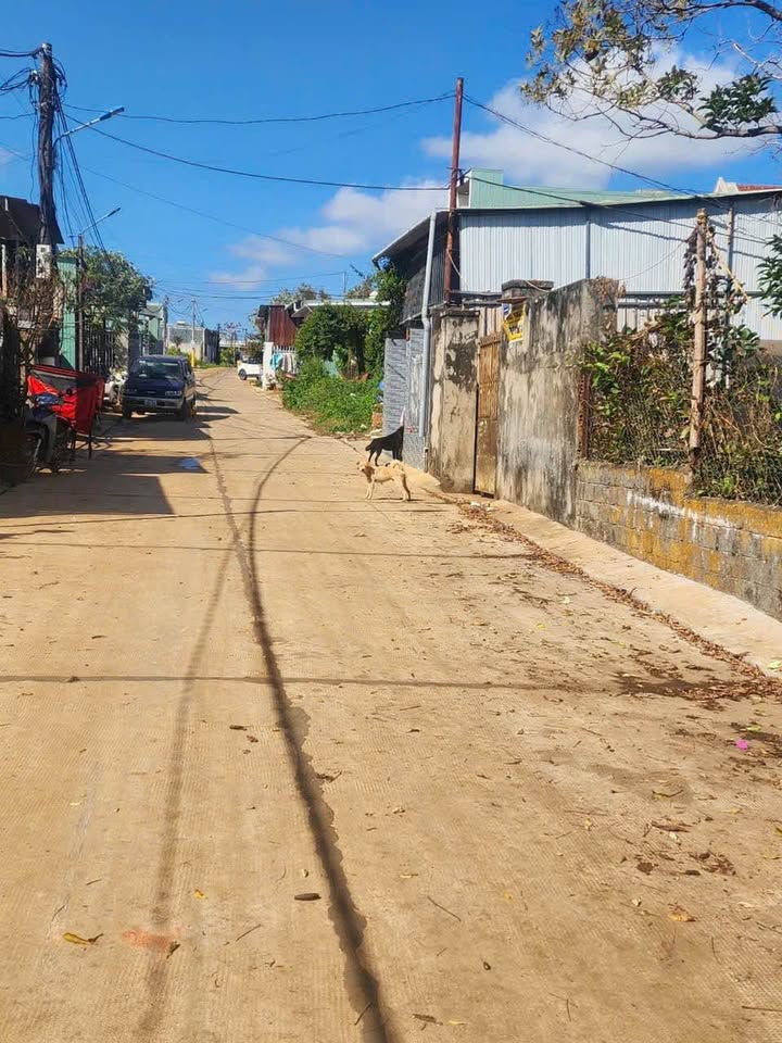 Đất nền Hẻm 59 Lương Ngọc Quyến, Pleiku 160m² giá chỉ 1.3 tỷ - Đầu tư sinh lời!