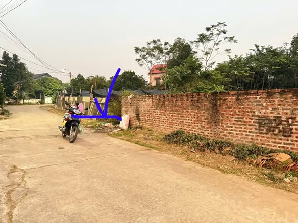 Đất thổ cư 102m² tại Xã Hội Thịnh, Huyện Tam Dương - Giá chỉ 1.1 tỷ!