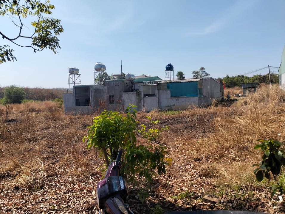 Đất nền Kp5, phường Tiến Thành, 120m² giá thỏa thuận - Tiềm năng phát triển cao!