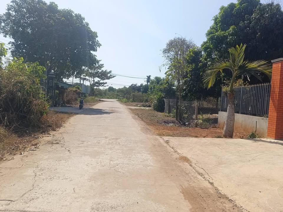 Đất nền 1500m² mặt tiền 12m tại Đồng Phú - Giá chỉ 700 triệu!