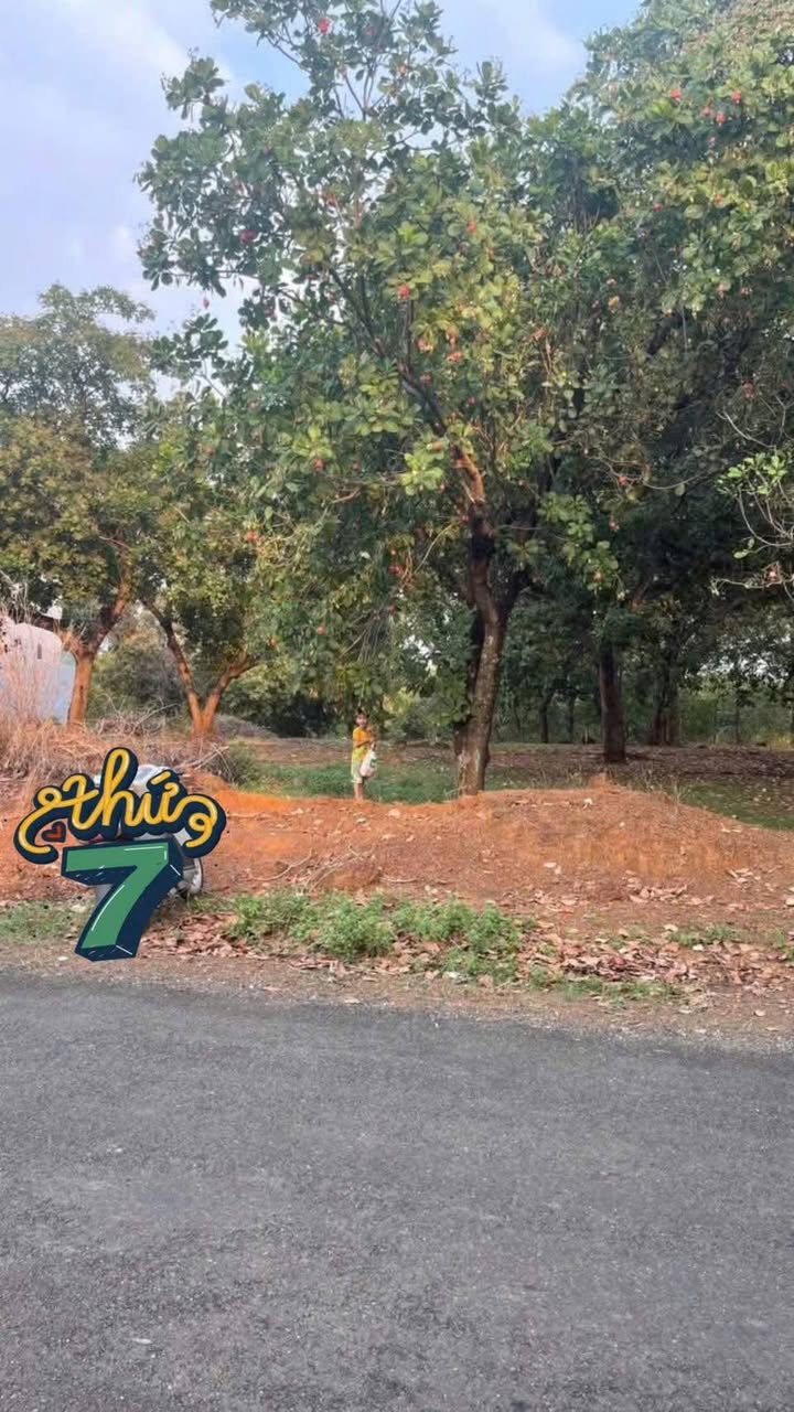 Đất nền Trục chính NVH Suối Cam, Huyện Hớn Quản, 192m² - Giá thỏa thuận, cơ hội đầu tư hấp dẫn!