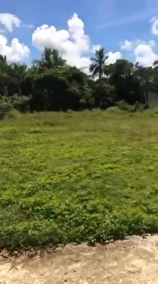 Đất nền tại Hẻm Quang Trung, An Bình, 632m² - Tiềm năng đầu tư cao!