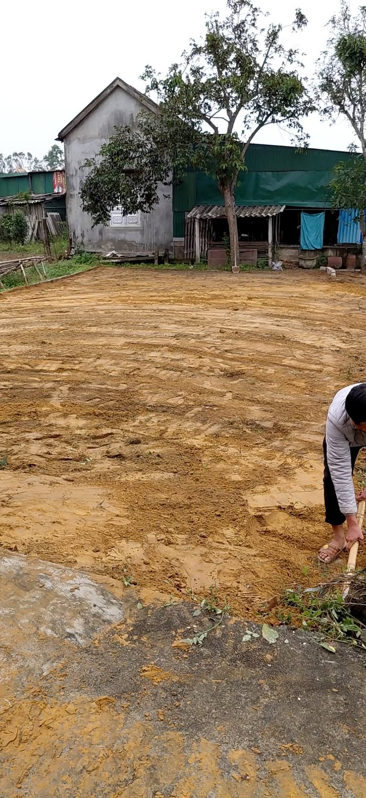 Đất nền xã Thịnh Trường, Nghi Lộc 132m² - Đầu tư sinh lời ngay!