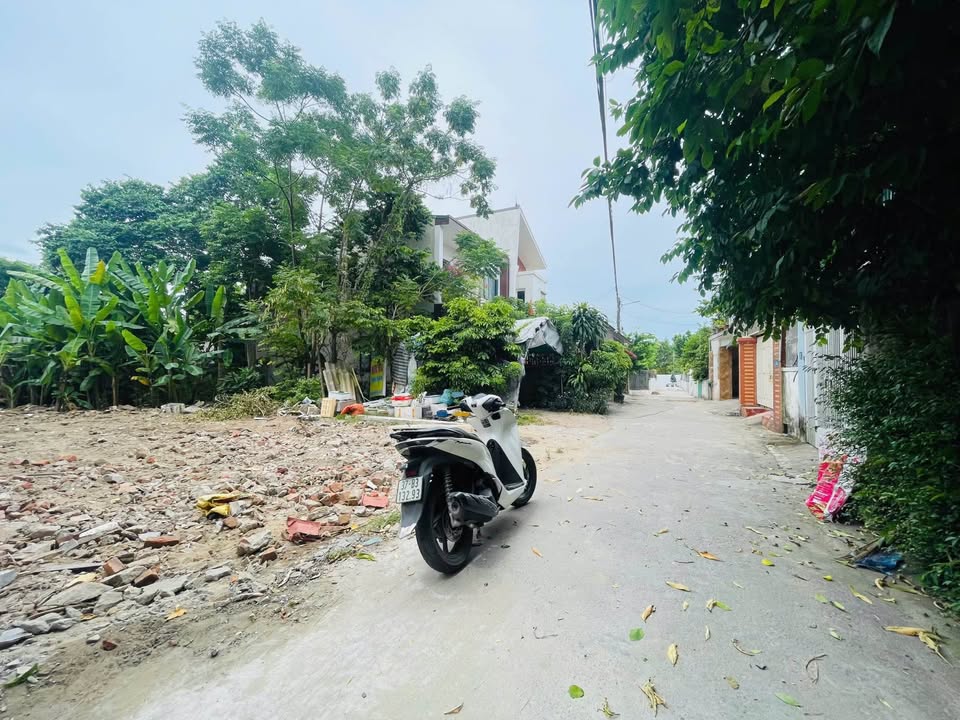 Đất nền Hưng Lộc, TP Vinh 134m² giá 3.75 tỷ - Hướng Đông Nam, vị trí đắc địa!