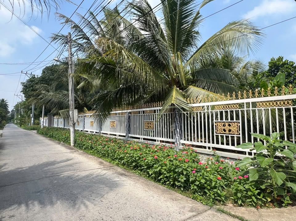 Đất nền Hữu Định, Châu Thành, 300m² giá chỉ 950 triệu - Cơ hội đầu tư tuyệt vời!