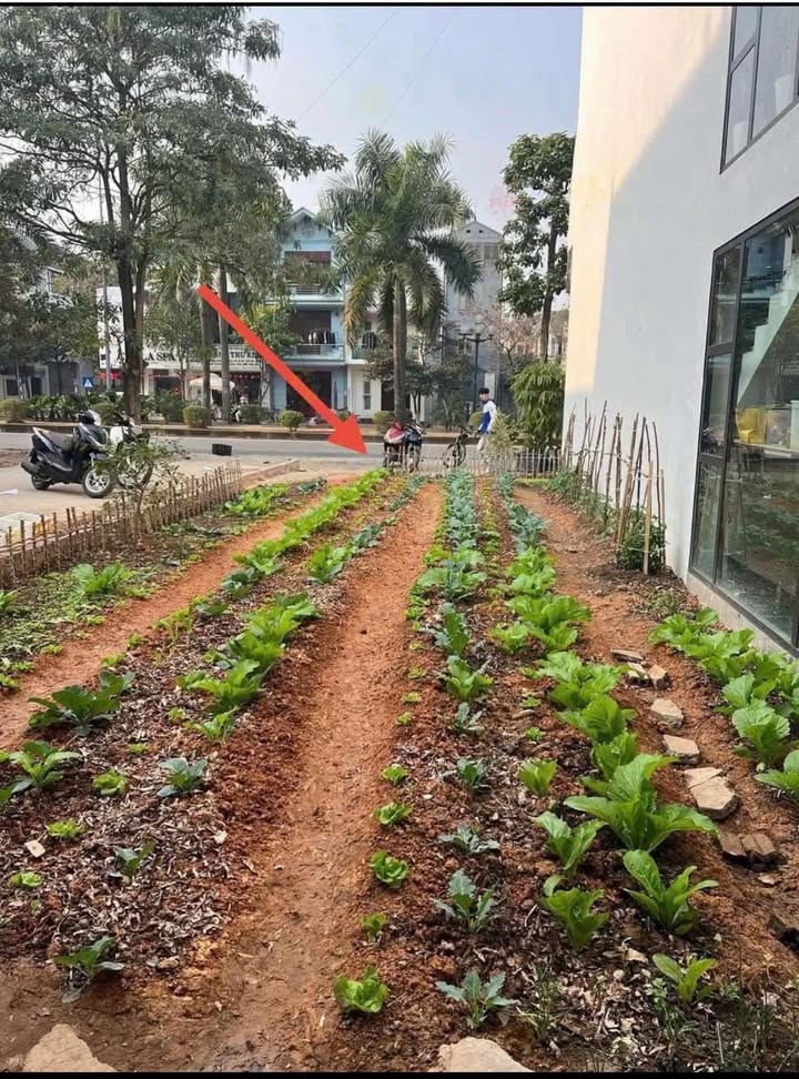 Đất nền Huyện Thạch Thất 70m² giá 2.85 tỷ - Cơ hội đầu tư tuyệt vời!