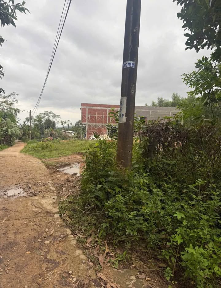 Đất nền Hòa Ninh Đà Nẵng 500m² giá 890 triệu - Phù hợp cho làm vườn