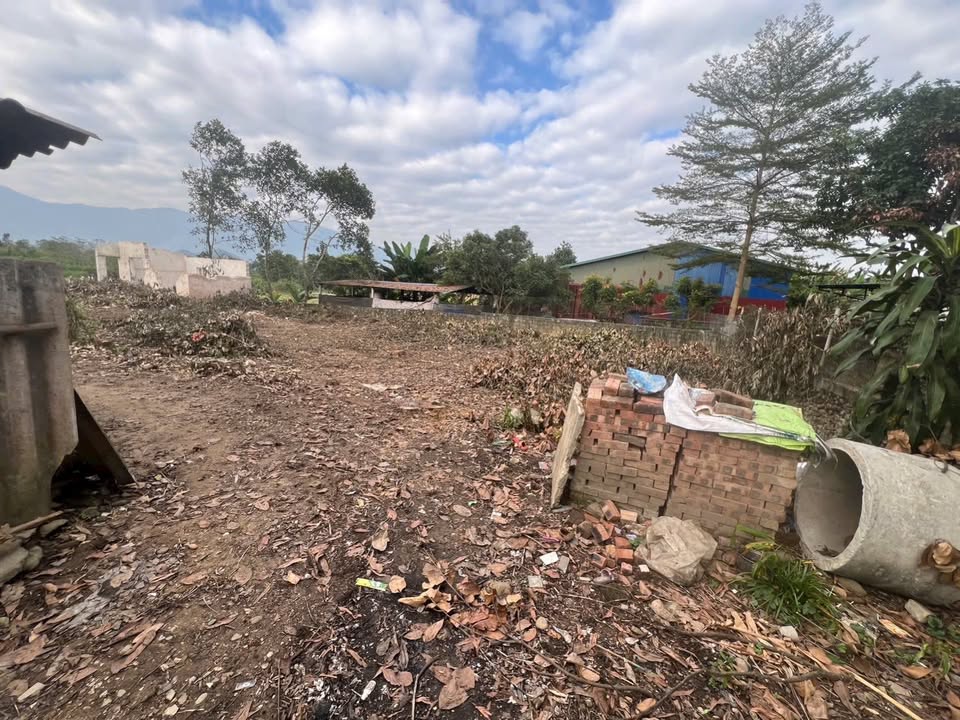 Đất nền 1000m² tại Bình Thuận, Đại Từ - Giá chỉ 1 tỷ - Cơ hội hiếm có!