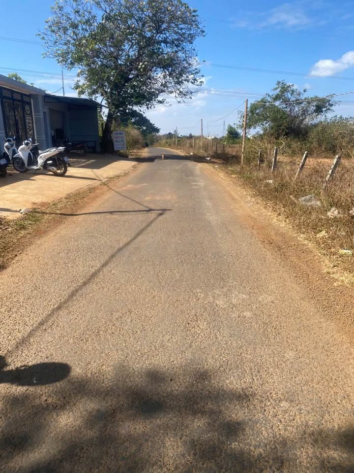 Đất nền khu vực đông dân Đường Tô Hiệu, 150m² giá 600 triệu - Sổ hồng chính chủ