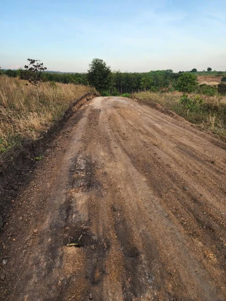 Farm 10ha Chư Prông Gia Lai giá 3.5 tỷ - Đầu tư sinh lời ngay!