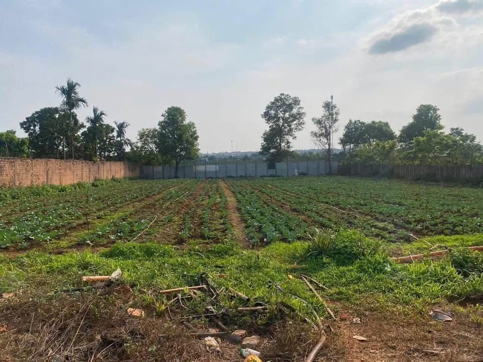 Đất nền hẻm 104 Phạm Hùng, 2432m² giá 4 tỷ - Đầu tư sinh lời không thể bỏ lỡ!