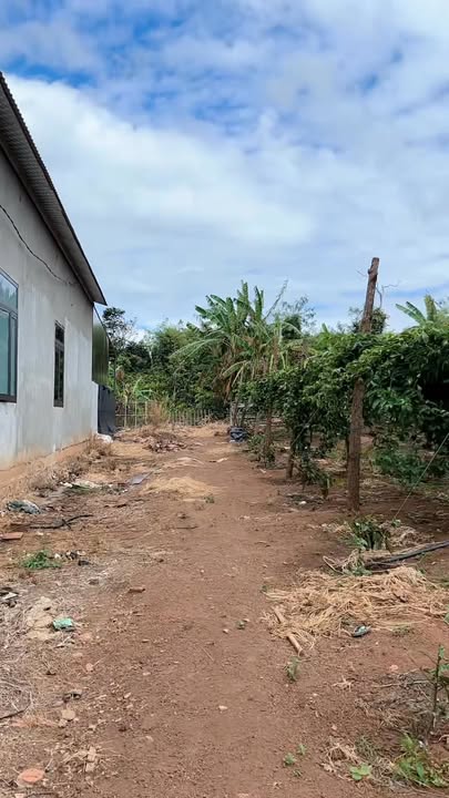 Đất sỏi đỏ 3ha tại Ia Ko, Chư Sê, Gia Lai - Cơ hội đầu tư hấp dẫn!