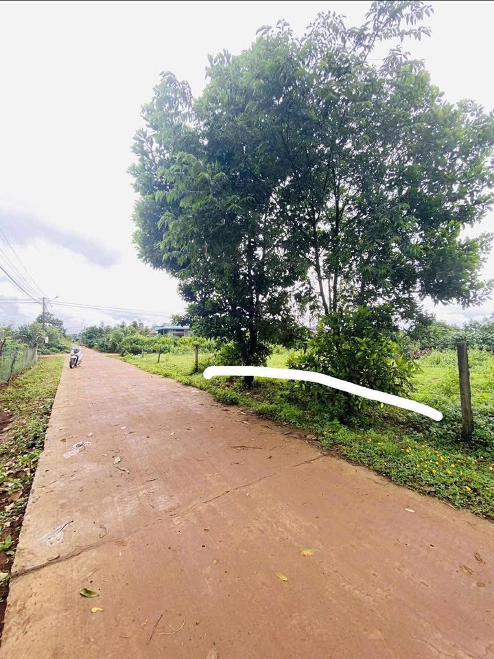 Đất nền Làng Nhao, Pleiku 180m² giá 200 triệu - Cơ hội đầu tư không thể bỏ lỡ!