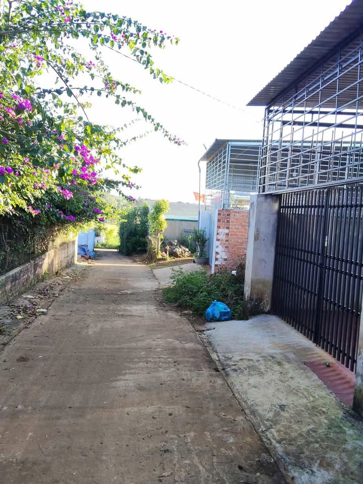 Đất nền hẻm 968 Lê Duẩn, An Phú, 115m² giá 400 triệu - Cơ hội đầu tư hấp dẫn!