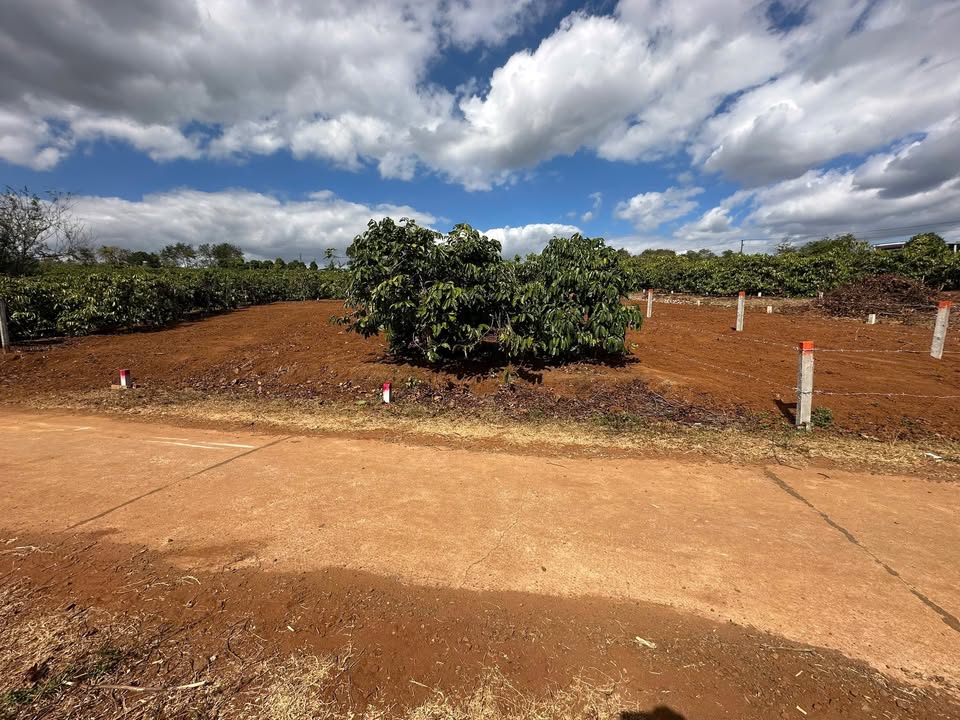 Đất nền phường Hội Phú, Pleiku 146m² giá 399 triệu - Hẻm ô tô thoải mái ra vào!