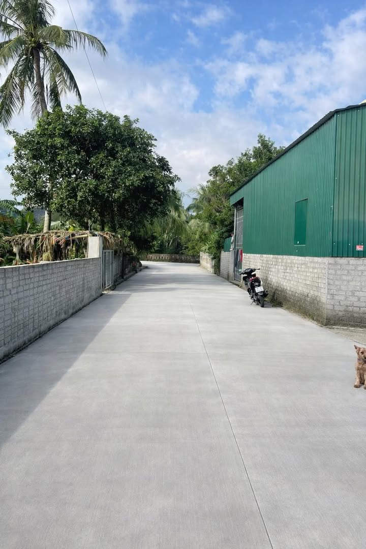 Đất nền Xã Thăng Bình, Huyện Nông Cống 130m² - Đã đổ nền, giá tốt!