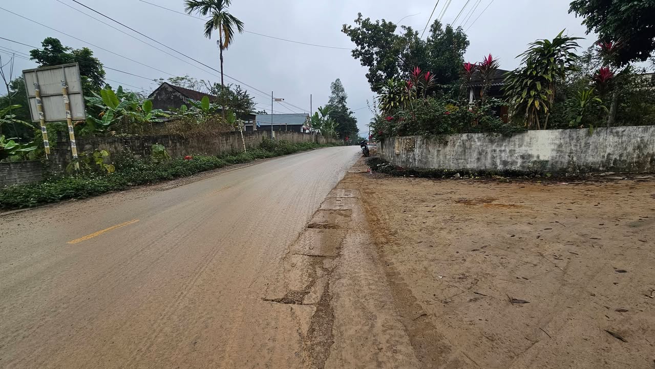 Đất nền kinh doanh Xã Cẩm Thạch 728m² giá thỏa thuận - Mặt tiền rộng 28m