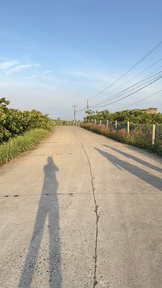 Đất nền 478.4m² đường Đinh Văn Lâm, Bình Chánh - Giá chỉ 920 triệu