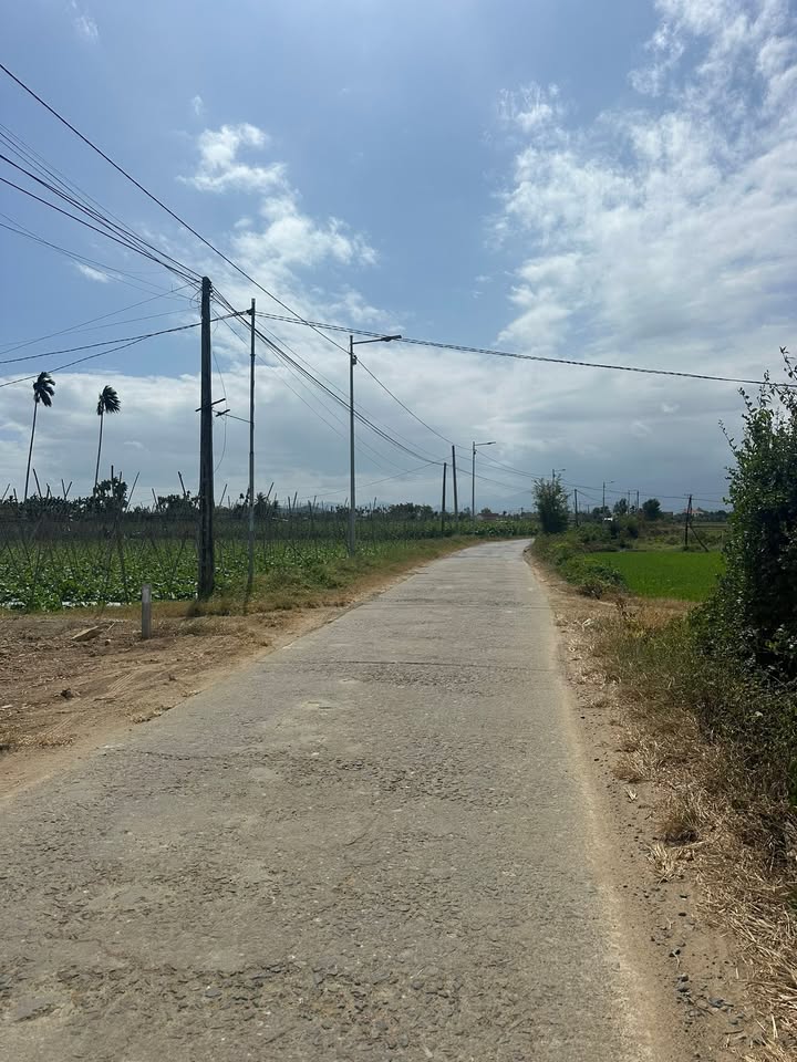 Đất nền Ninh Trung, Ninh Đông 117m² giá 300 triệu - Cơ hội đầu tư hấp dẫn!