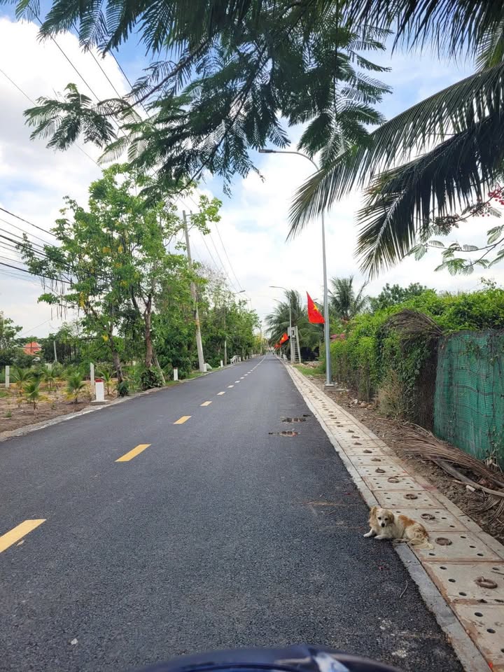 Đất nền mặt tiền Lương Ngang, xã Tân Nhựt, 3000m² giá 30 tỷ - Đầu tư sinh lời