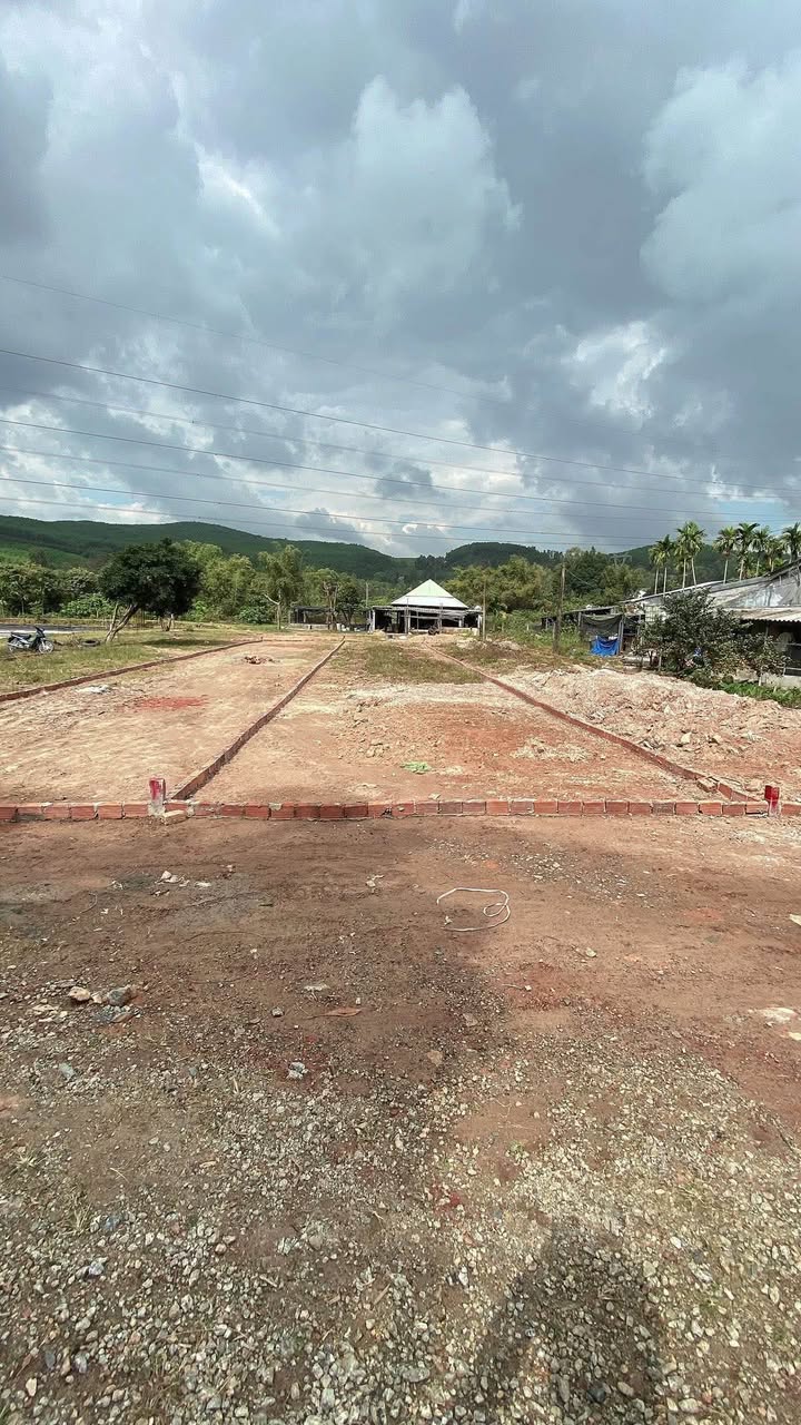 Đất nền Phú Hải, Đại Hiệp 150m² giá 600 triệu - Cơ hội đầu tư hấp dẫn!