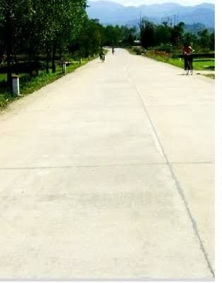 Đất trồng cây Xã Tam Thăng 115m² giá 100 triệu - Sổ đỏ chính chủ