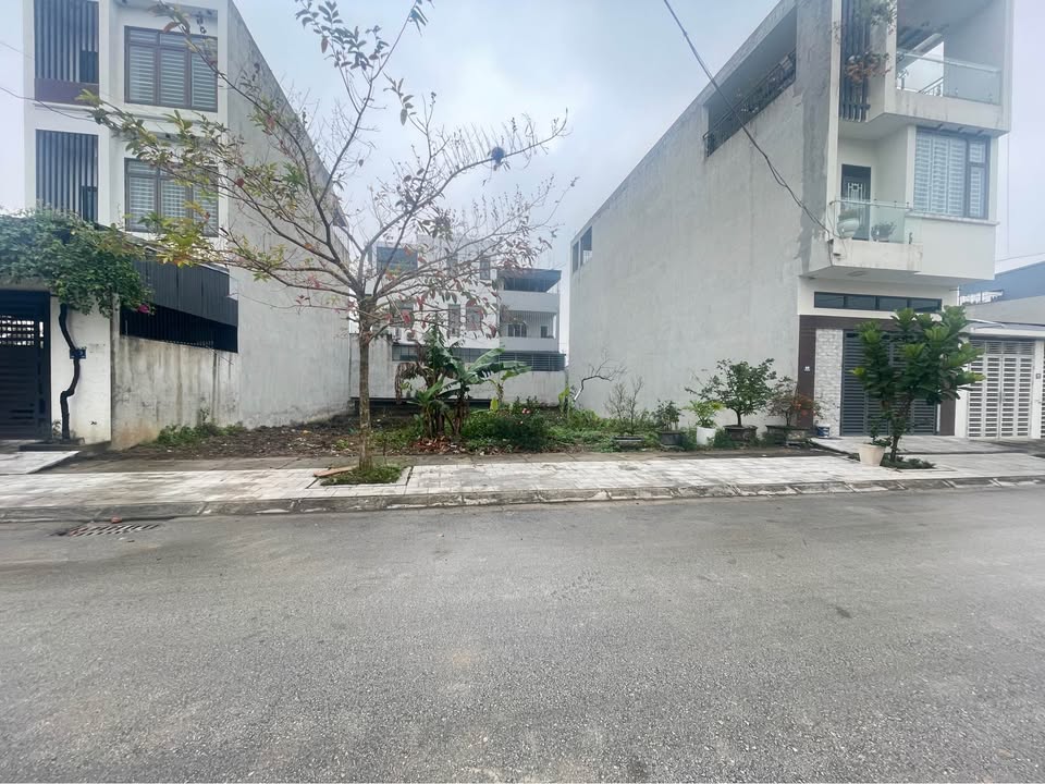 Đất trung tâm thị trấn Triệu Sơn 100m² giá 2 tỷ - Vị trí đắc địa, dân cư sầm uất!