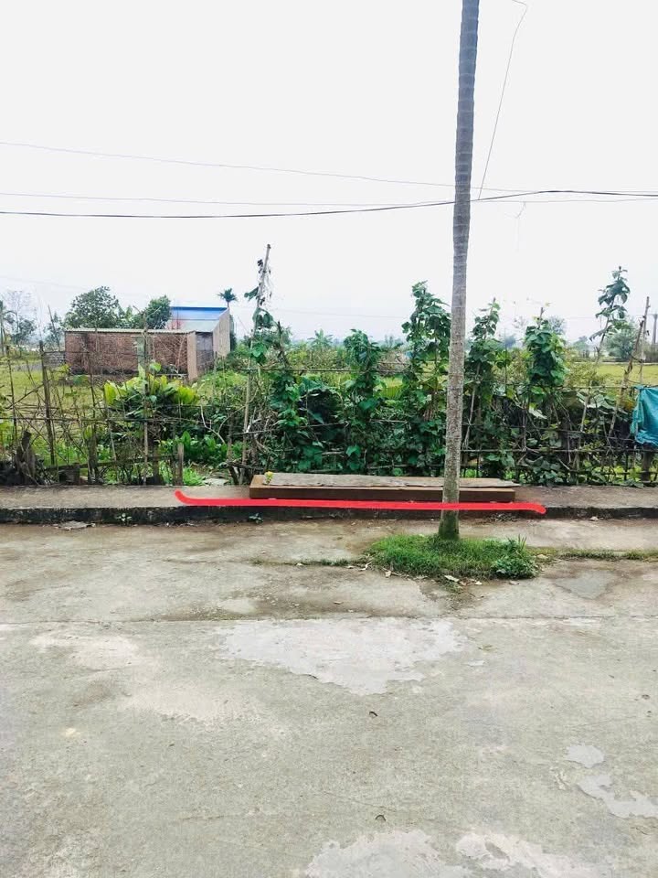 Đất thổ cư Hưng Hà Thái Bình 121m² giá 700 triệu - Đường ô tô thông thoáng