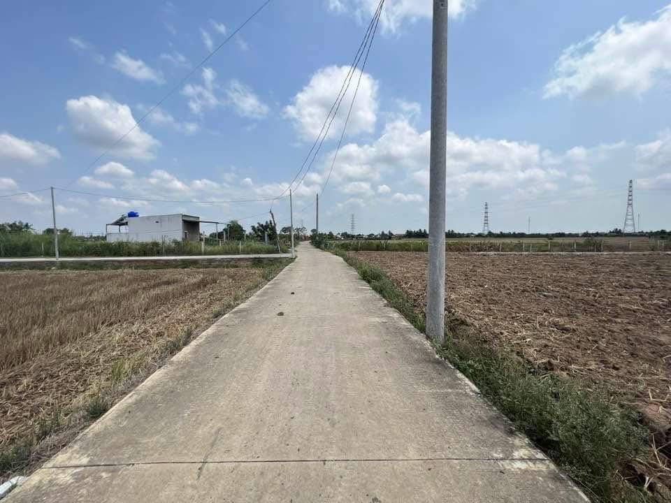 Đất thổ cư 100m² tại Thạnh Đức - Bến Lức - Long An giá 750 triệu - Nền cao ráo, xe 7 chỗ vào tận nơi!