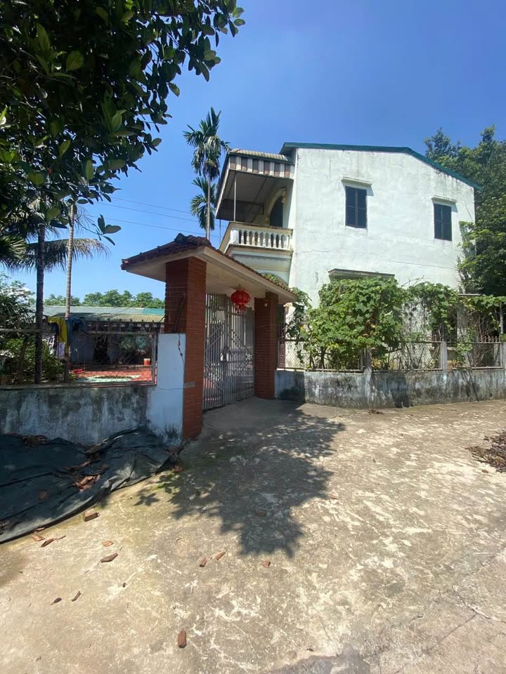 Đất nền Xuân Mai 568m² giá 4 tỷ - Chính chủ bán gấp trước Tết!