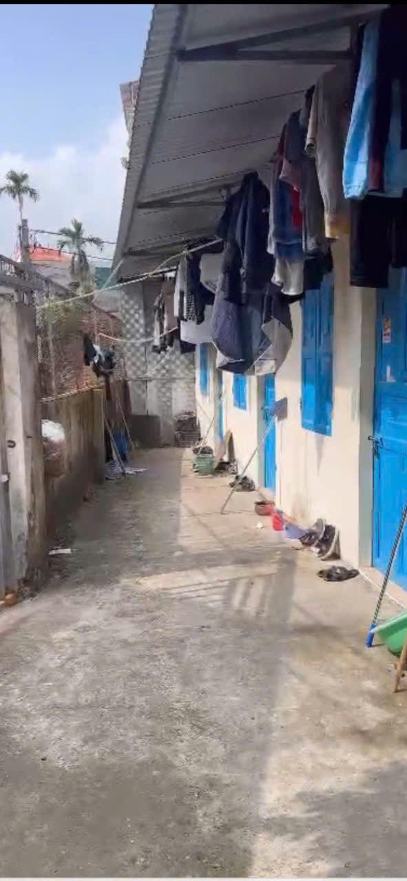 Đất nền Khu An Bình, Thuận Thành, Bắc Ninh 102m² - Đầu tư sinh lời 6 triệu/tháng!