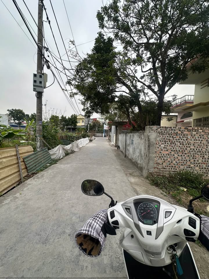 Đất nền góc đường thông 50m² tại Tân Tiến - An Dương giá chỉ 1.4 tỷ