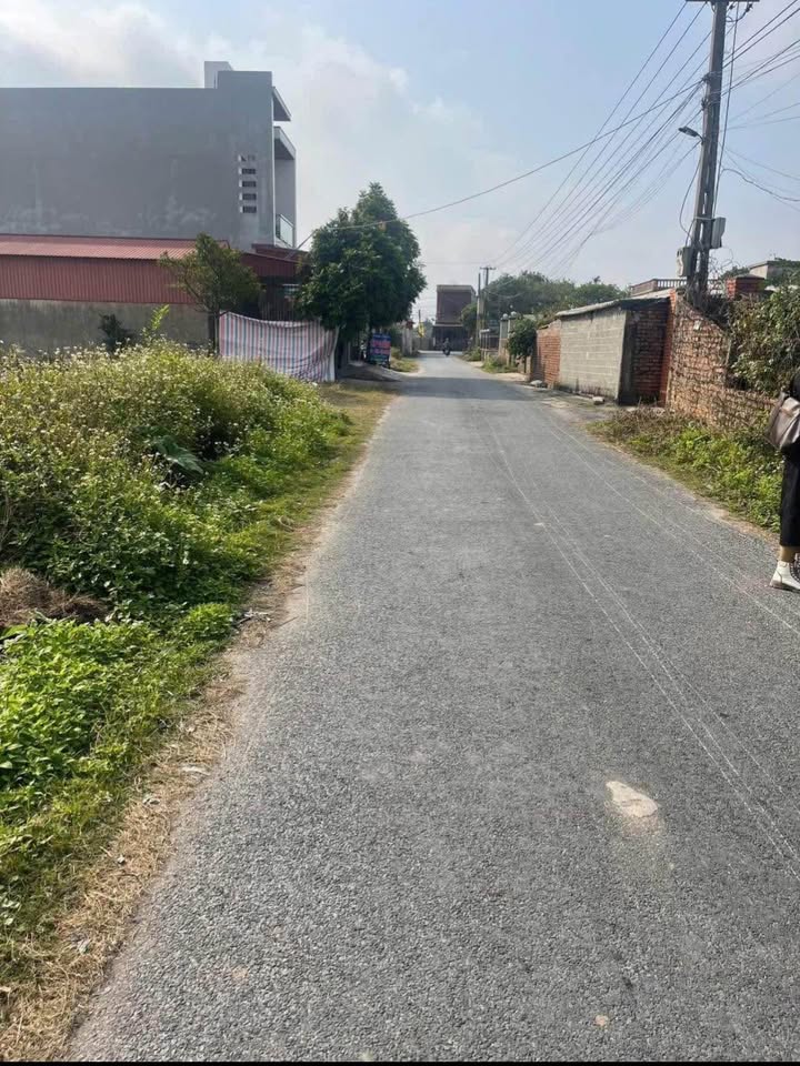 Đất nền kinh doanh Hòa An, Thái Thụy, 100m² giá 1.2 tỷ - Đầu tư sinh lời tốt!