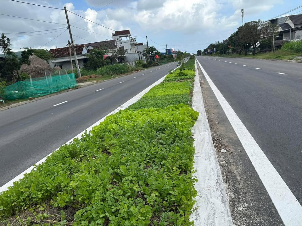 FrontHouse mặt tiền QL24 huyện Trà Bồng 100m² giá 500 triệu - Sổ đỏ chính chủ sẵn sàng công chứng!