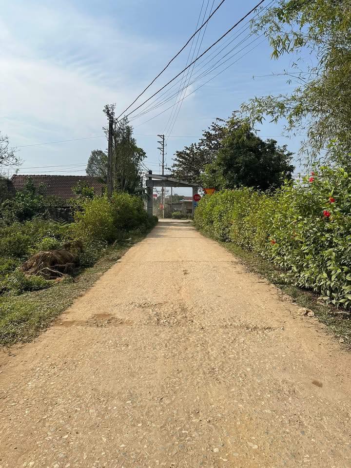 Đất nền Cổng công ty cao su Hương Khê 500m² giá tốt - Cơ hội đầu tư tuyệt vời!