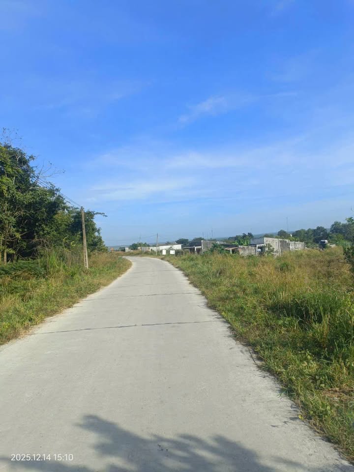 Đất nông nghiệp 3.8ha tại xã Hàm Cường, giá chỉ 79.2 tỷ - Cơ hội đầu tư tuyệt vời!