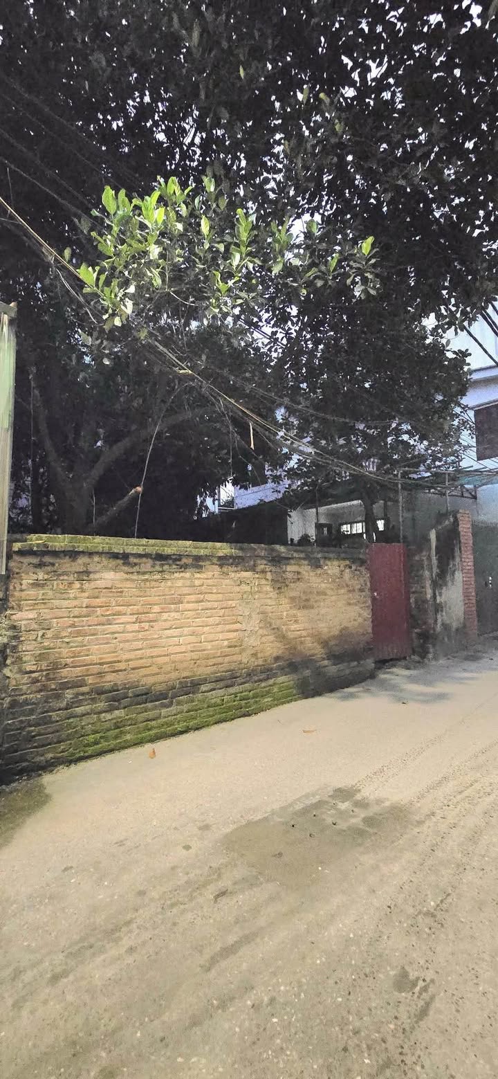 Đất nền KĐT Ciputra Tây Hồ 105m² giá thỏa thuận - Mặt tiền 6m, xây dựng tự do!