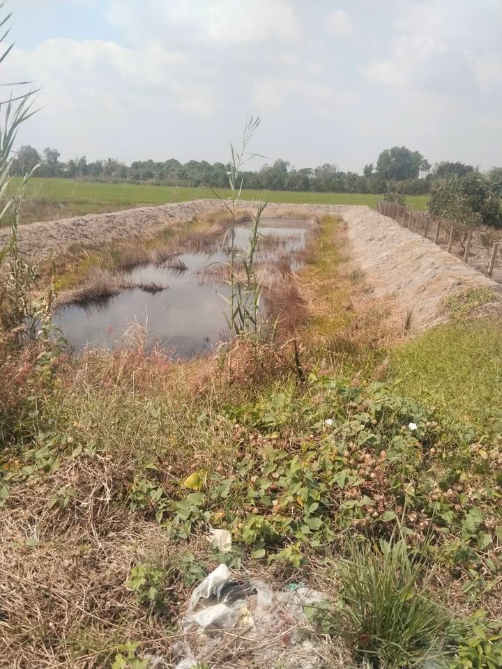 Đất nền mặt tiền đường tỉnh lộ 850, xã Tân Hội Trung, 1000m² - Giá chỉ 1.6 tỷ, thương lượng chính chủ!