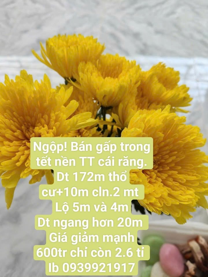 Đất nền Phường Lê Bình, Quận Cái Răng 182m² giá 2.6 tỷ - Vị trí thuận lợi gần ĐH Tây Đô!