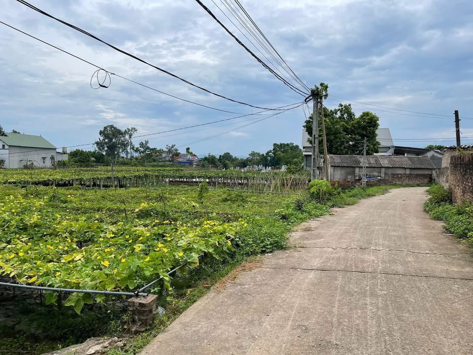 Đất nền khu đô thị Trường Thọ, Phổ Yên 115m² giá 1 tỷ - Đầu tư sinh lời hấp dẫn!