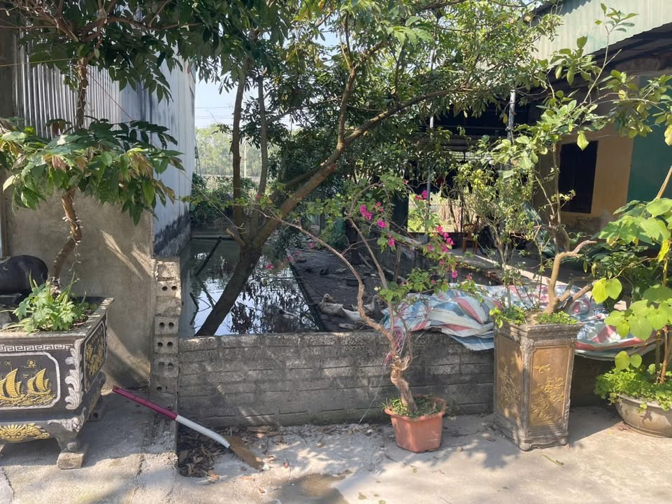 Nhà phố Quảng Thịnh, Thanh Hóa 72m² giá 1 tỷ - Đầu tư sinh lời ngay!