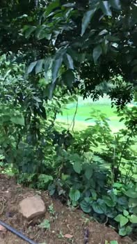 Đất nền xã Tú Sơn, Huyện Kim Bôi, 4200m² giá 2 tỷ - Cơ hội đầu tư tuyệt vời!