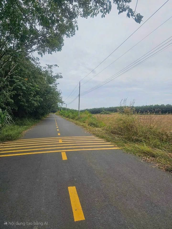 Đất Warehouse tại Long Tân, Dầu Tiếng 47.598m² giá 47.598 tỷ - Cơ hội đầu tư hấp dẫn!