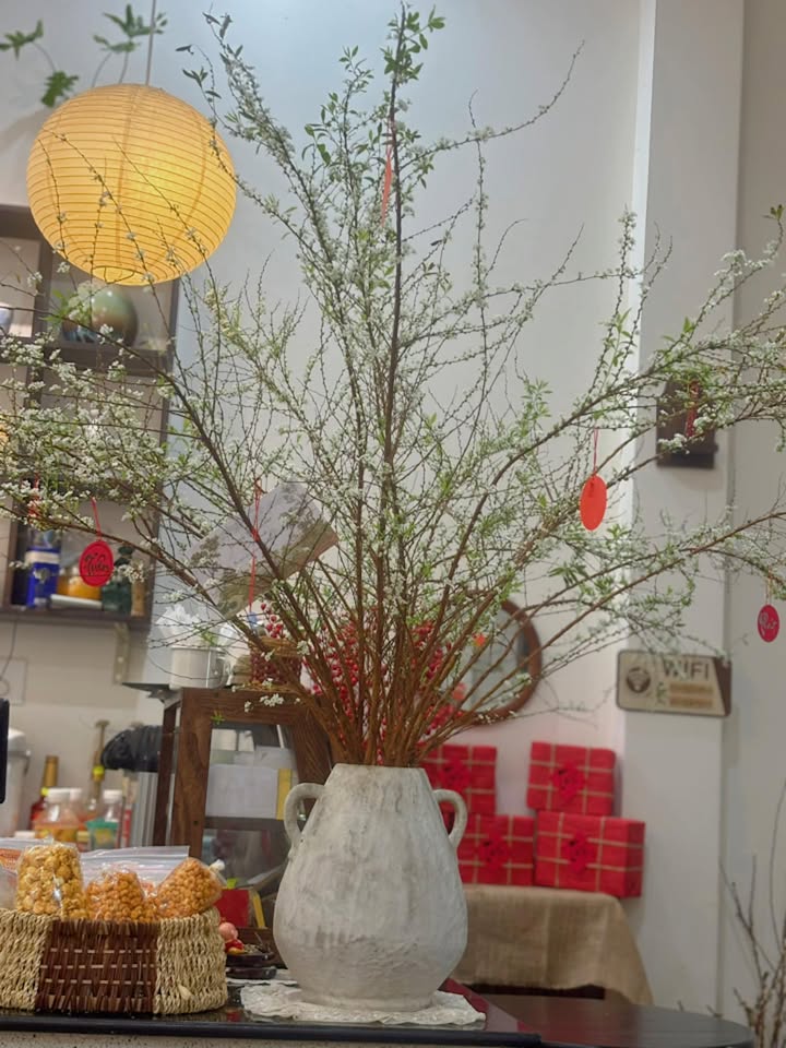 Căn hộ TMS 2PN Trần Phú, Hoàng Mai 58m² giá chỉ 1.73 tỷ - Cơ hội không thể bỏ lỡ!