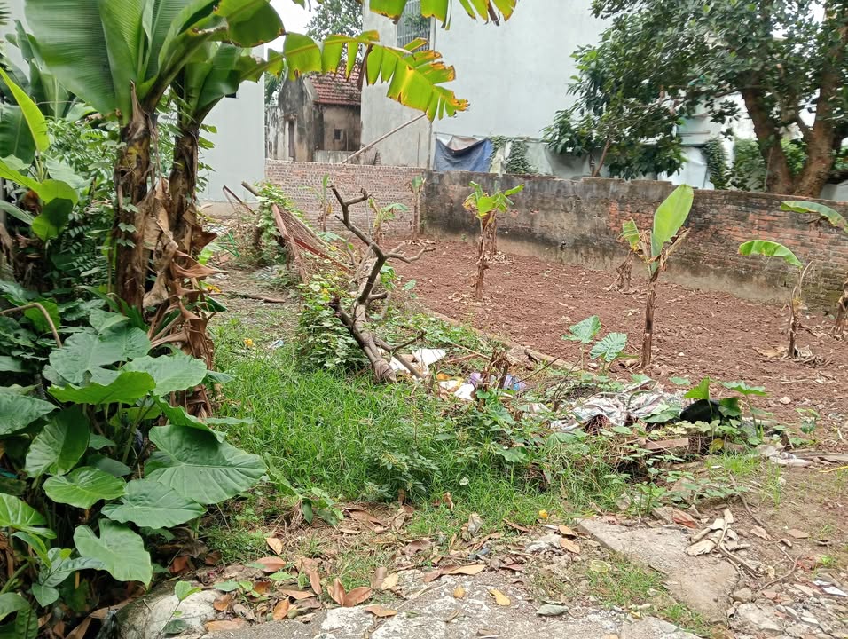 Đất nền Đông Mỹ, Thanh Trì, 46m² giá 3.65 tỷ - Đường rộng ô tô đỗ thoải mái!